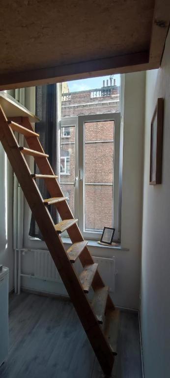 European District Hostel بروكسل المظهر الخارجي الصورة