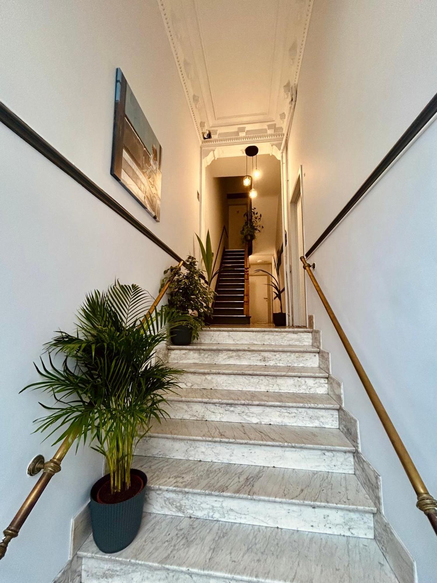 European District Hostel بروكسل المظهر الخارجي الصورة