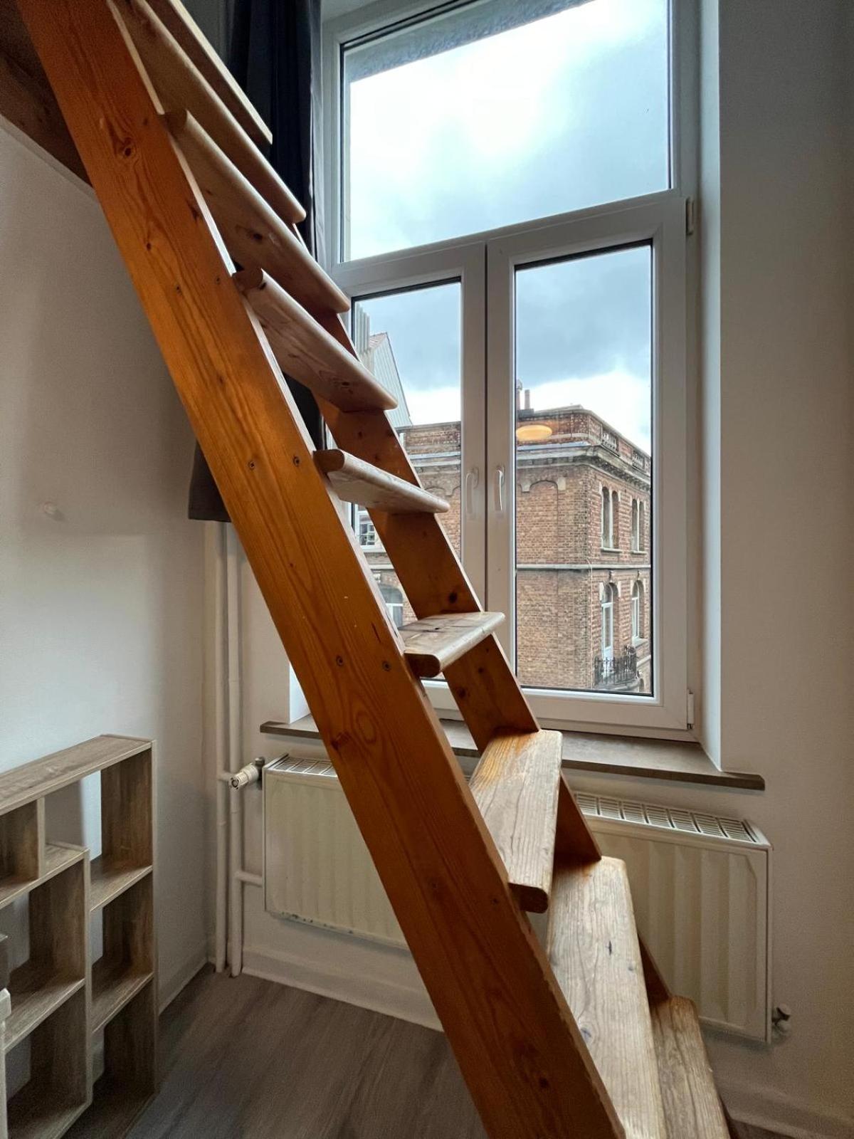 European District Hostel بروكسل المظهر الخارجي الصورة